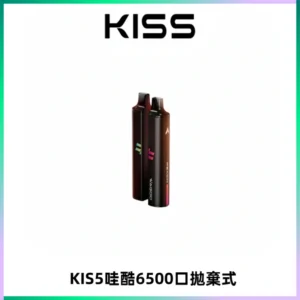 KIS5WAGOO哇酷6500口拋棄式 | 自由混搭雙口味 | 雙芯組合